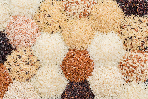 Healthy, Traditional, and Premium: Discover Every Rice Variety from Medhavi Superfoods