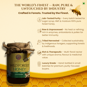 Medhavi SuperFoods Jungle Harvest Honey: Unleash Nature's Sweet Symphony