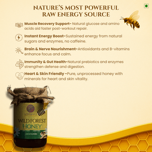 Medhavi SuperFoods Jungle Harvest Honey: Unleash Nature's Sweet Symphony