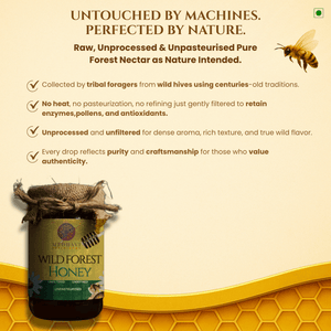 Medhavi SuperFoods Jungle Harvest Honey: Unleash Nature's Sweet Symphony