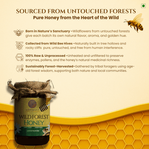 Medhavi SuperFoods Jungle Harvest Honey: Unleash Nature's Sweet Symphony